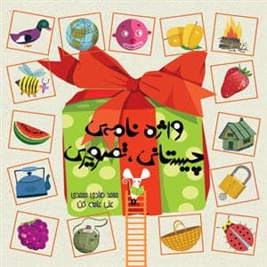 جلد کتاب واژه نامه ی چیستانی ، تصویری