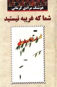 جلد کتاب شما که غریبه نیستید — معین