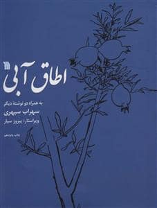 جلد کتاب اطاق آبی — سروش
