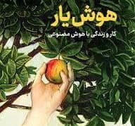جلد کتاب هوش یار کار و زندگیبا هوش مصنوعی — نشر نوین