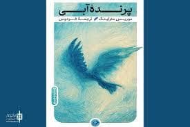 جلد کتاب پرنده آبی — امیر کبیر