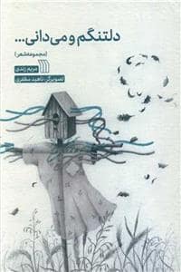 جلد کتاب دلتنگم و می‌دانی