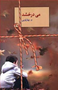 جلد کتاب می‌درخشد — سخن