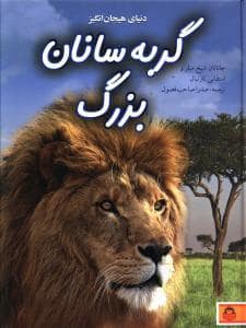 جلد کتاب دنیای هیجان‌انگیز 8 - گربه‌سانان بزرگ