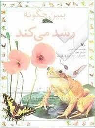 جلد کتاب ببین چگونه رشد می کند