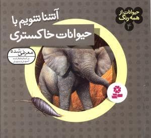 جلد کتاب حیوانات از همه رنگ 4 - آشنا شویم با حیوانات خاکستری
