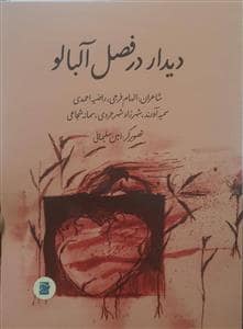 جلد کتاب دیدار در فصل آلبالو