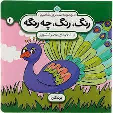 جلد کتاب رنگ رنگ چه رنگه جلد 4 - پرندگان