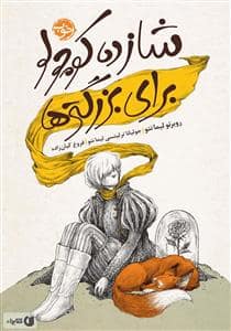 جلد کتاب شازده کوچولو برای بزرگ تر ها — خوب