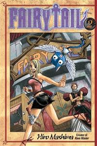 جلد کتاب شهر پریان 2 ارجینال Fairy Tail