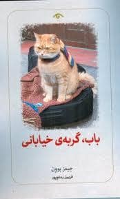 جلد کتاب باب گربه ی خیابانی — کتاب دیدآور