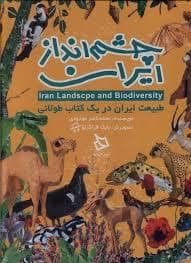 جلد کتاب چشم انداز ایران — دیبایه