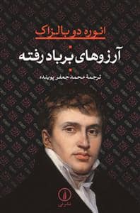 جلد کتاب آرزوهای برباد رفته — نشر نی