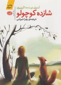 جلد کتاب شازده کوچولو *آموت