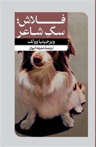 جلد کتاب فلاش؛ سگ شاعر — امیر کبیر