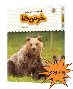 جلد کتاب یک فنجان دانستنی دربارهی خرسها