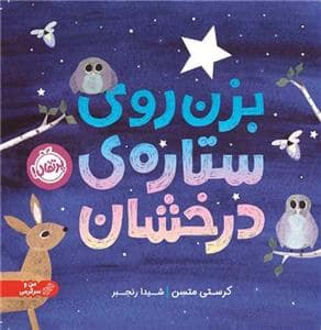 جلد کتاب بزن روی ستاره ی درخشان