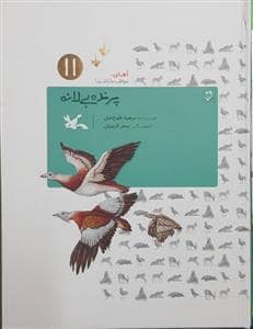 جلد کتاب آهای مواظب ما باشید 11 - پرنده ، بی لانه