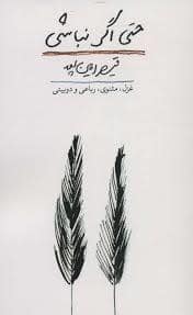 جلد کتاب حتی اگر نباشی — کتاب آبی