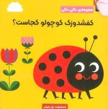 جلد کتاب دالی دالی - کفشدوزک کوچولو کجاست؟