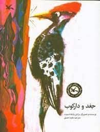جلد کتاب جغد و دارکوب