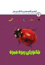 جلد کتاب اولین گنجینه یادگیری من - جانوران ریزه میزه