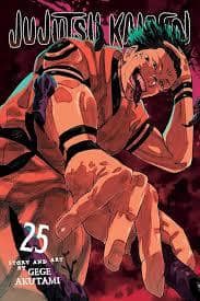 جلد کتاب جوجوتسو کایزن 25 ارجینال Jujutsu Kaisen — کتاب آراد