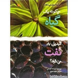 جلد کتاب چگونه یک گیاه تبدیل به نفت می شود