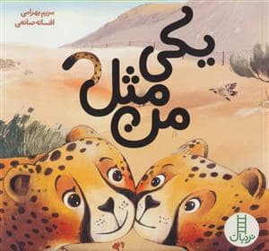 جلد کتاب یکی مثل من