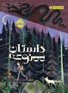جلد کتاب داستان ممنوعه