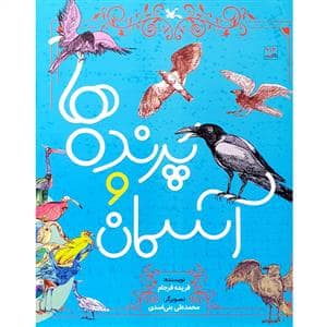 جلد کتاب آسمان و پرنده ها