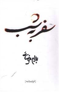 جلد کتاب سفر به شب — روشنگران و مطالعات زنان