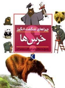 چراهای شگفت انگیز - خرس ها