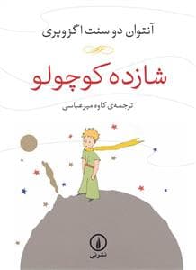 جلد کتاب شازده کوچولو *نی