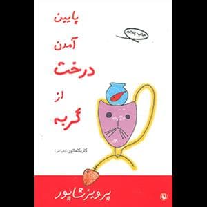 پایین آمدن درخت از گربه