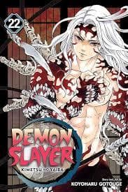 جلد کتاب دمون اسلایر Demon Slayer 22