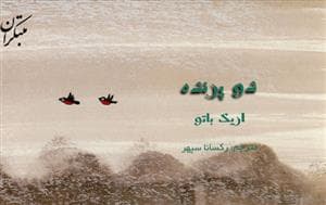 دو پرنده