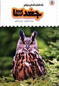 یک فنجان دانستنی درباره‌ی جغدها