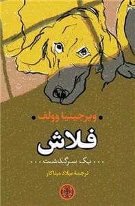 فلاش