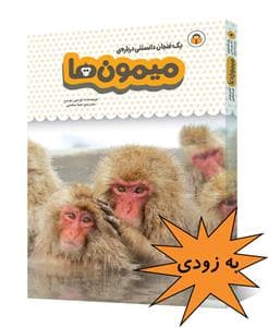 یک فنجان دانستنی درباره‌ی میمون‌ها