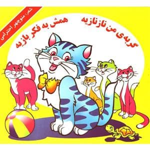 جلد کتاب گربه ی من نازنازیه همه ش به فکر بازیه