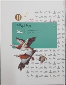 جلد کتاب آهای مواظب ما باشید 11 - پرنده ، بی لانه