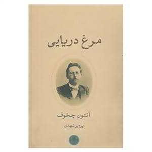 مرغ دریایی