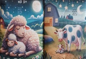جلد کتاب لالا - کتاب بالشتی