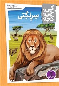 کی؟ چی ؟ کجا ؟ سرنگتی