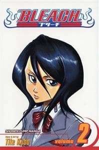 جلد کتاب Bleach 2