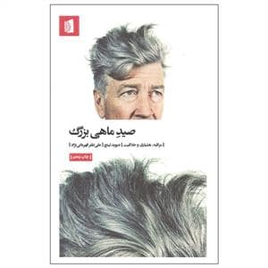 جلد کتاب صید ماهی بزرگ - مراقبه، هشیاری و خلاقیت — بیدگل
