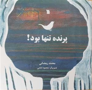 جلد کتاب پرنده تنها بود
