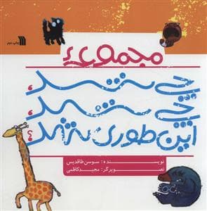 جلد کتاب مجموعهی چیس شد چی شد اینطوری شد