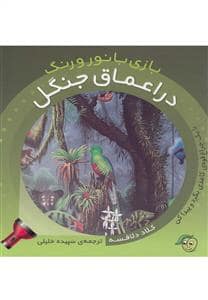 جلد کتاب بازی با نور و رنگ - در اعماق جنگل — پیام مشرق